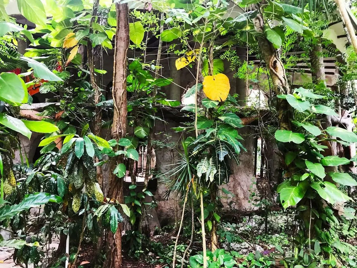 Portal Xibalba Hotell Playa del Carmen Mexiko